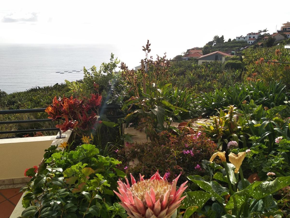 Jardim Do Arco "Esmee" Lejlighed Arco da Calheta  Eksteriør billede