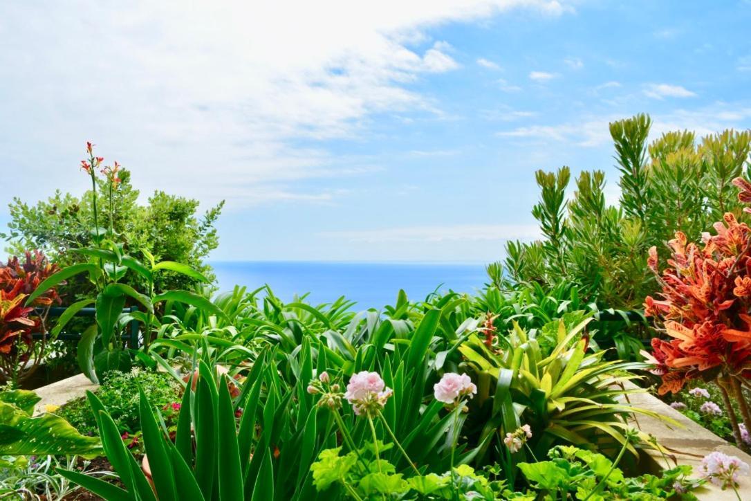 Jardim Do Arco "Esmee" Lejlighed Arco da Calheta  Eksteriør billede